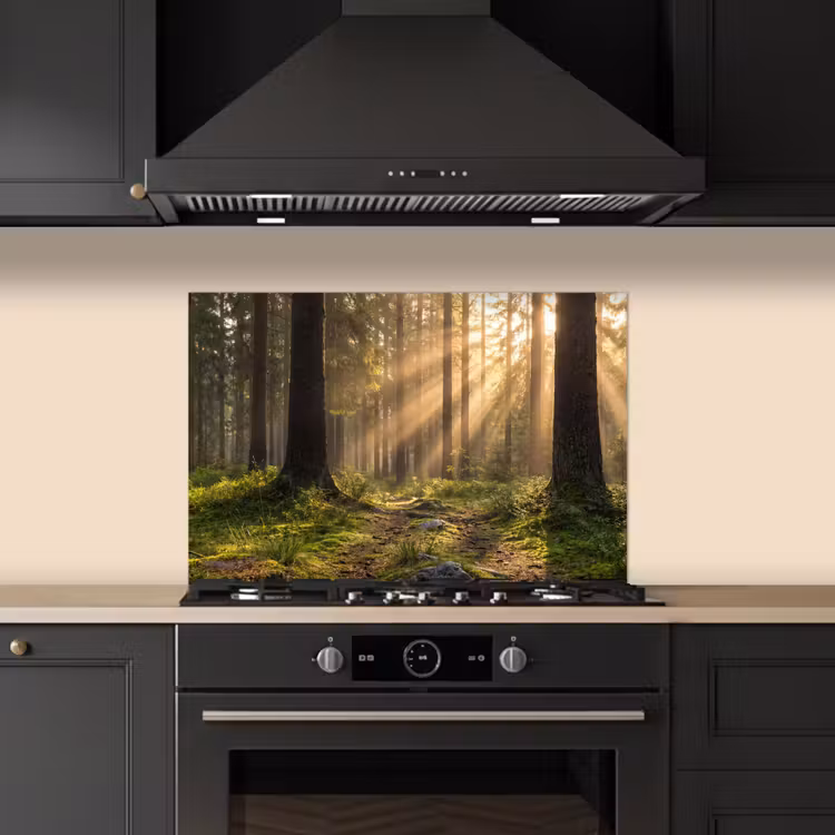 Spatscherm keuken - Bos - Zonlicht - Gras — 2