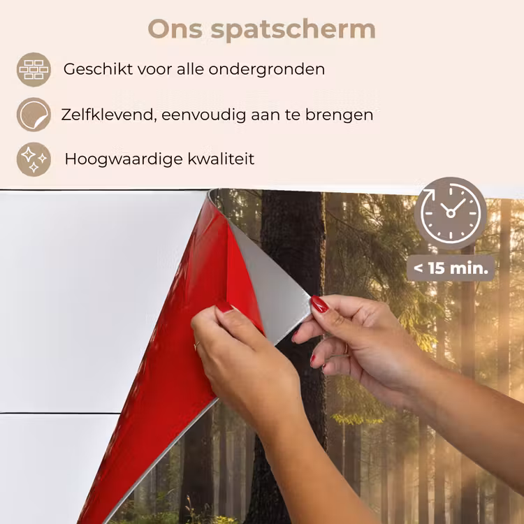 Spatscherm keuken - Bos - Zonlicht - Gras — 4