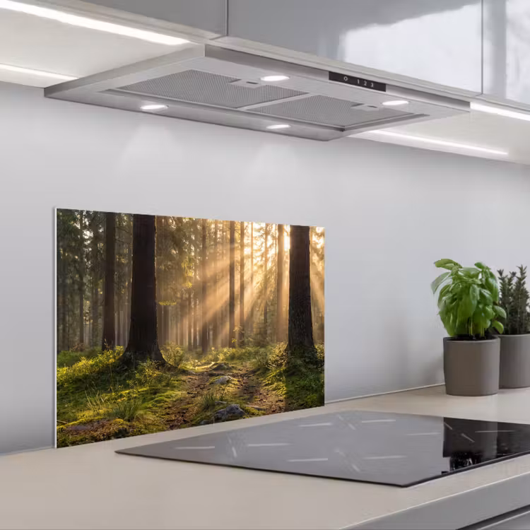 Spatscherm keuken - Bos - Zonlicht - Gras — 5