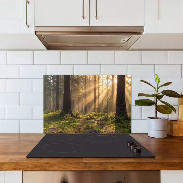 Spatscherm keuken - Bos - Zonlicht - Gras — 6