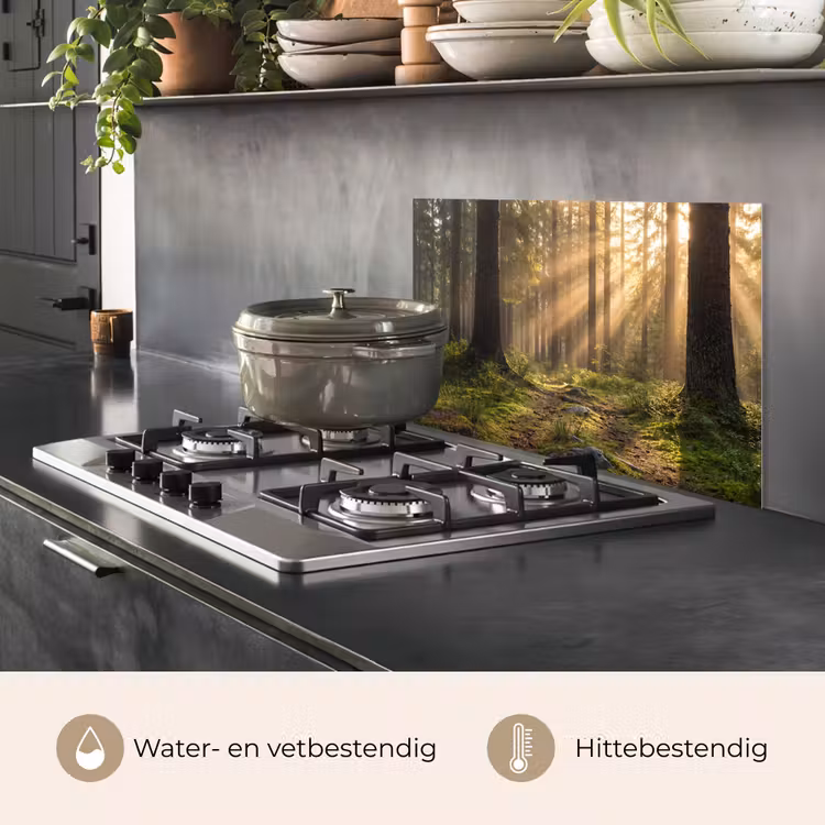 Spatscherm keuken - Bos - Zonlicht - Gras — 7