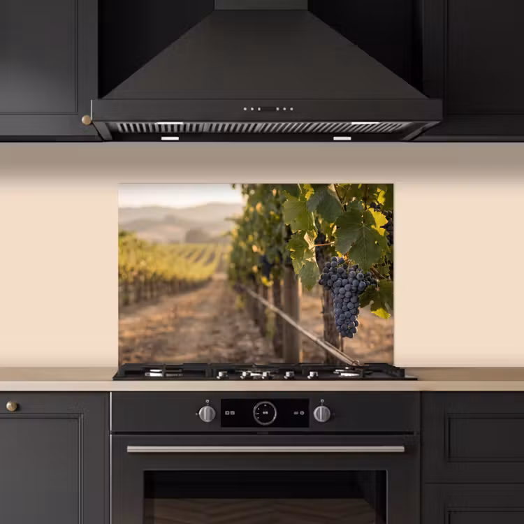 Spatscherm keuken - Druiven - Wijngaard - Zonlicht — 2
