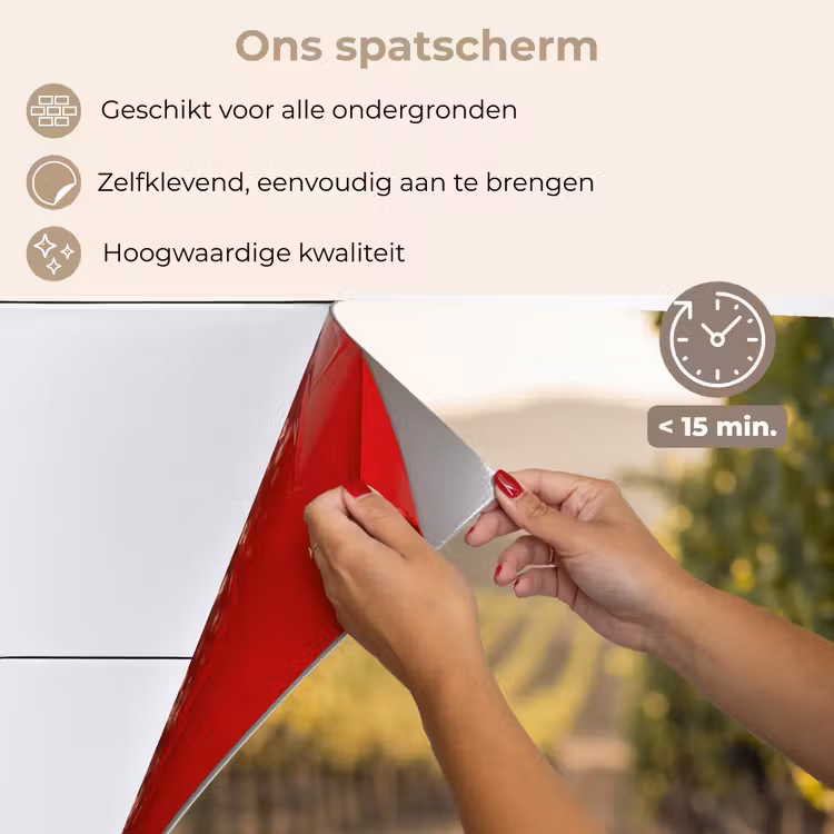 Spatscherm keuken - Druiven - Wijngaard - Zonlicht — 4