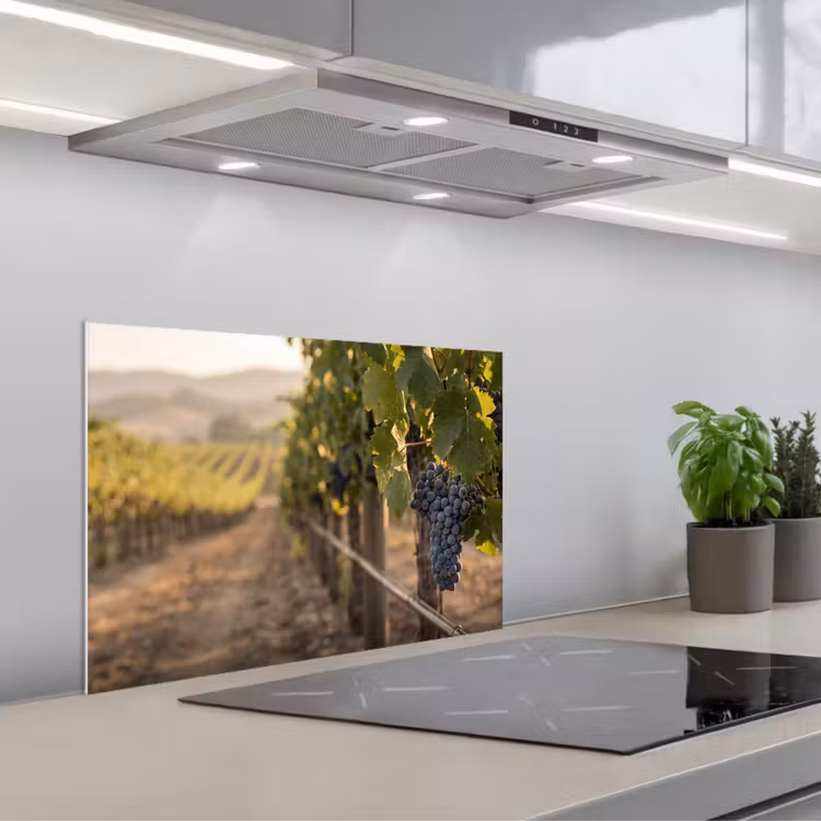 Spatscherm keuken - Druiven - Wijngaard - Zonlicht — 5