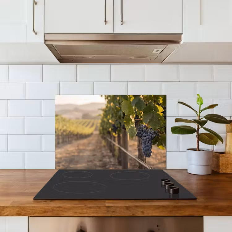 Spatscherm keuken - Druiven - Wijngaard - Zonlicht — 6