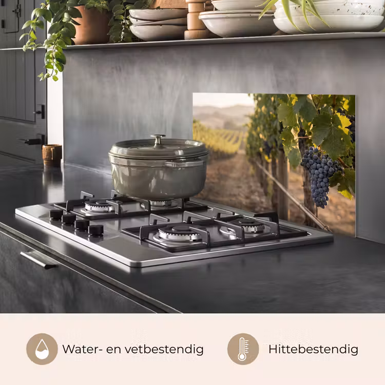 Spatscherm keuken - Druiven - Wijngaard - Zonlicht — 7