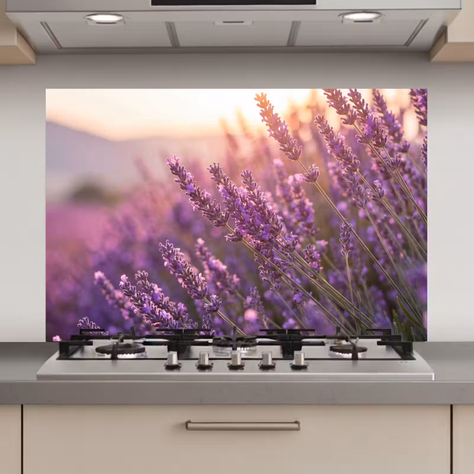 Spatscherm keuken - Lavendel - Paars - Zonlicht — 1