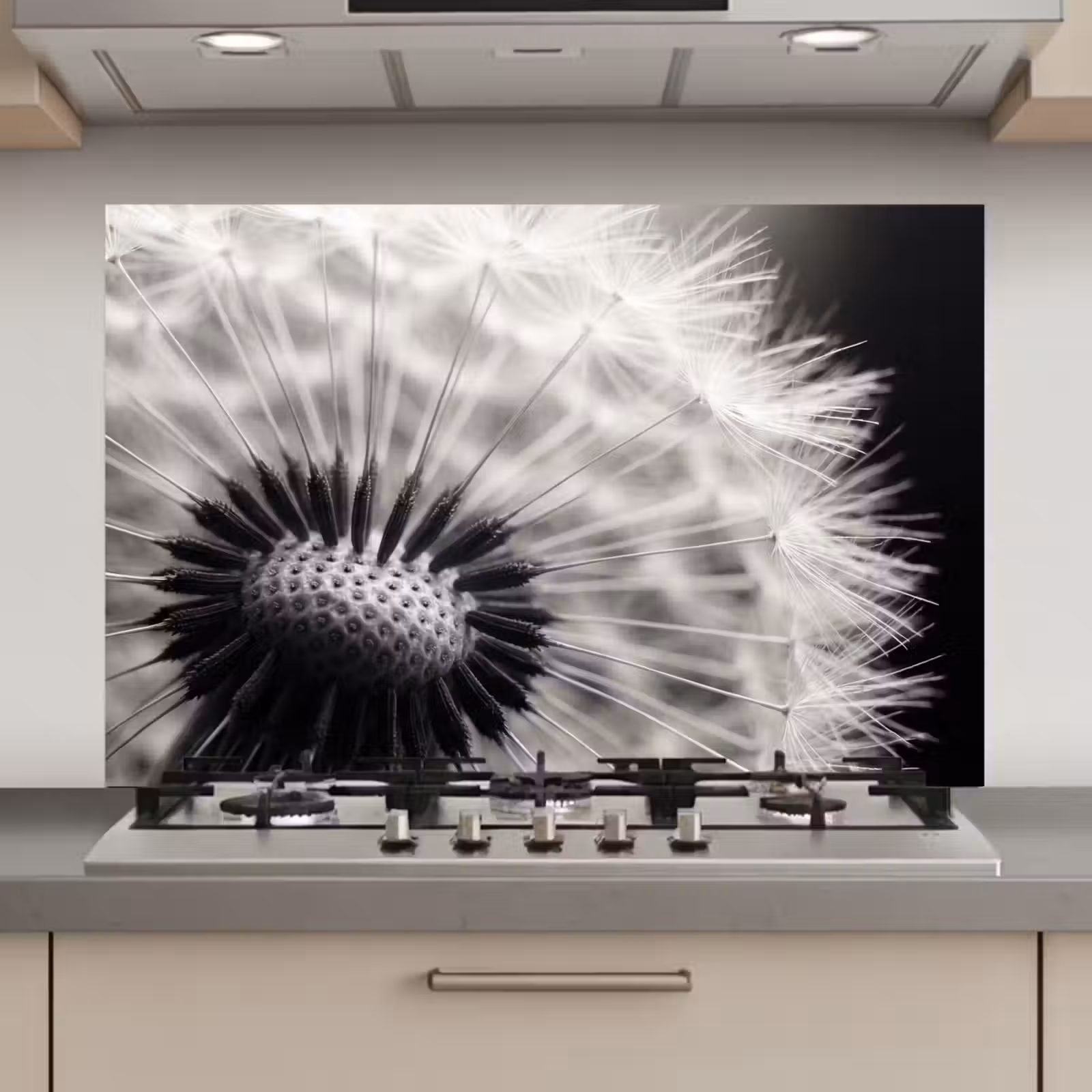 Spatscherm keuken - Paardenbloem - Zwart - Wit — 1