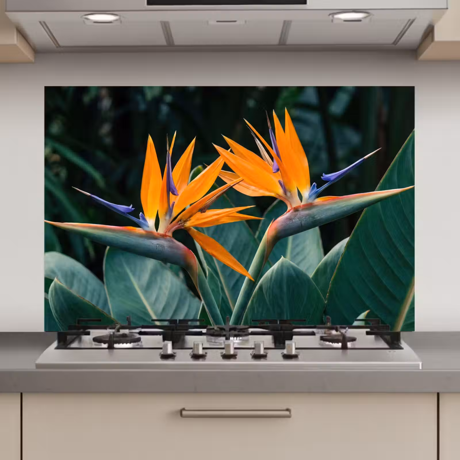Spatscherm keuken - Paradijsvogel - Bloem - Exotisch — 1