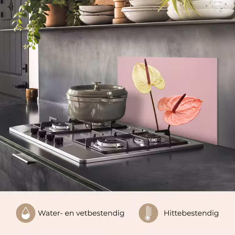 Spatscherm keuken - Bloemen - Anthuriums - Geel - Roze — 7