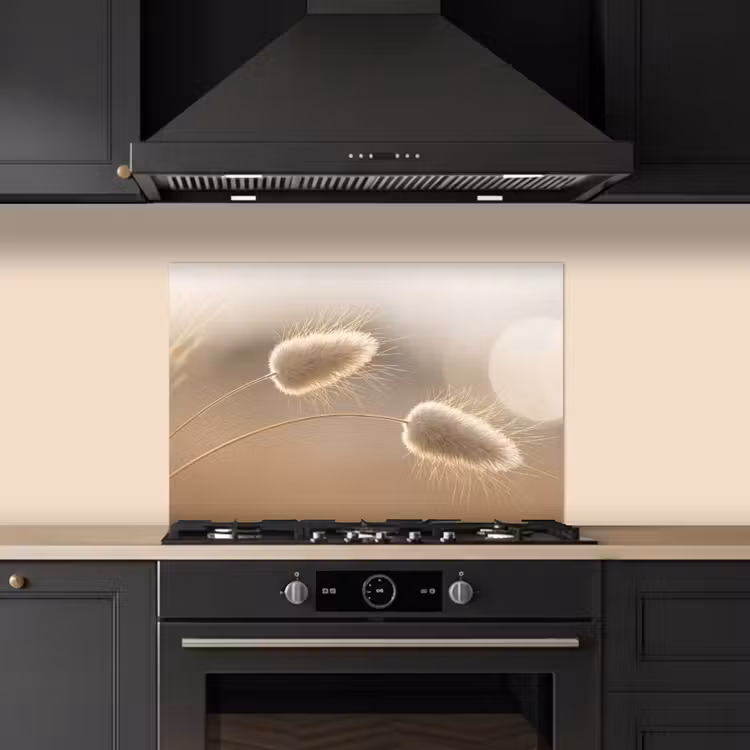 Spatscherm keuken - Hazestaartgras - Graanharen - Zonlicht — 2