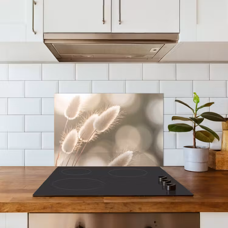 Spatscherm keuken - Hazestaartgras - Wit - Zonlicht — 6
