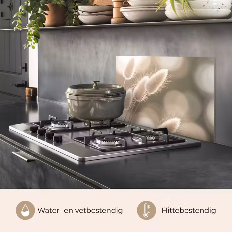 Spatscherm keuken - Hazestaartgras - Wit - Zonlicht — 7