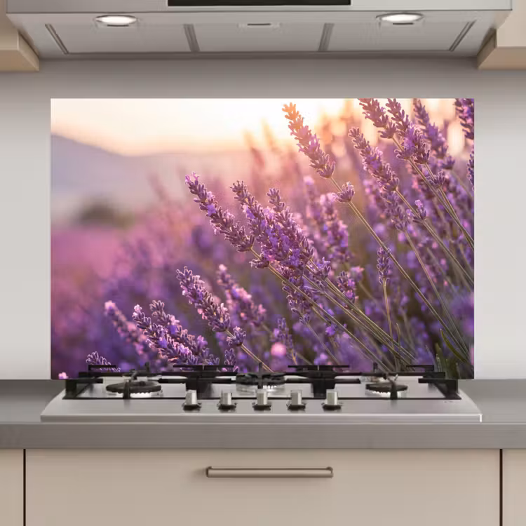 Spatscherm keuken - Lavendel - Paars - Zonlicht — 1