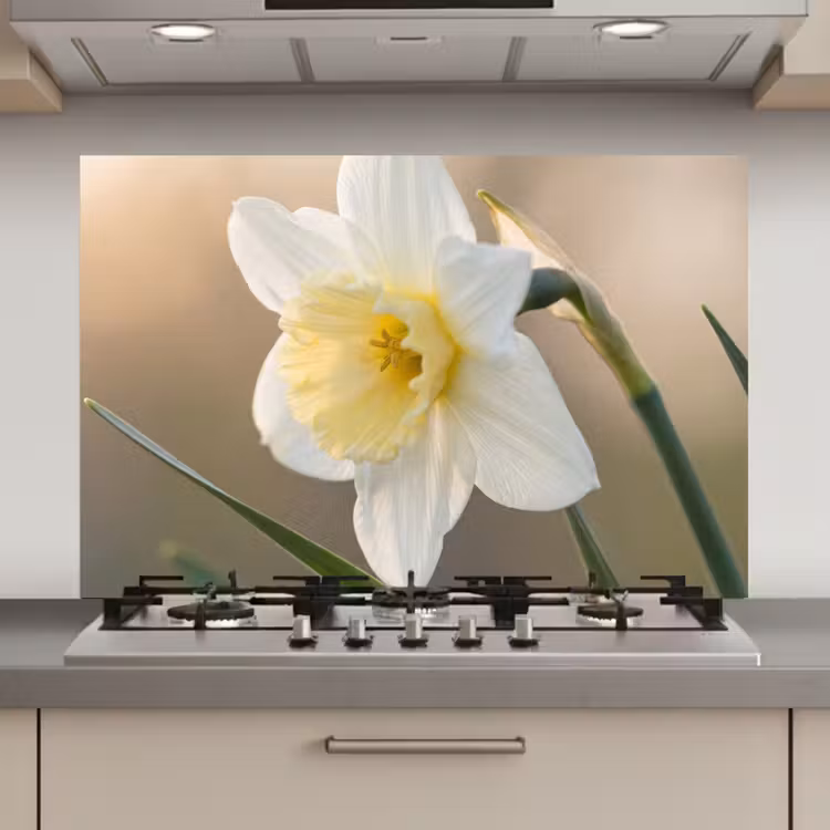 Spatscherm keuken - Narcis - Bloem - Minimalistisch — 1