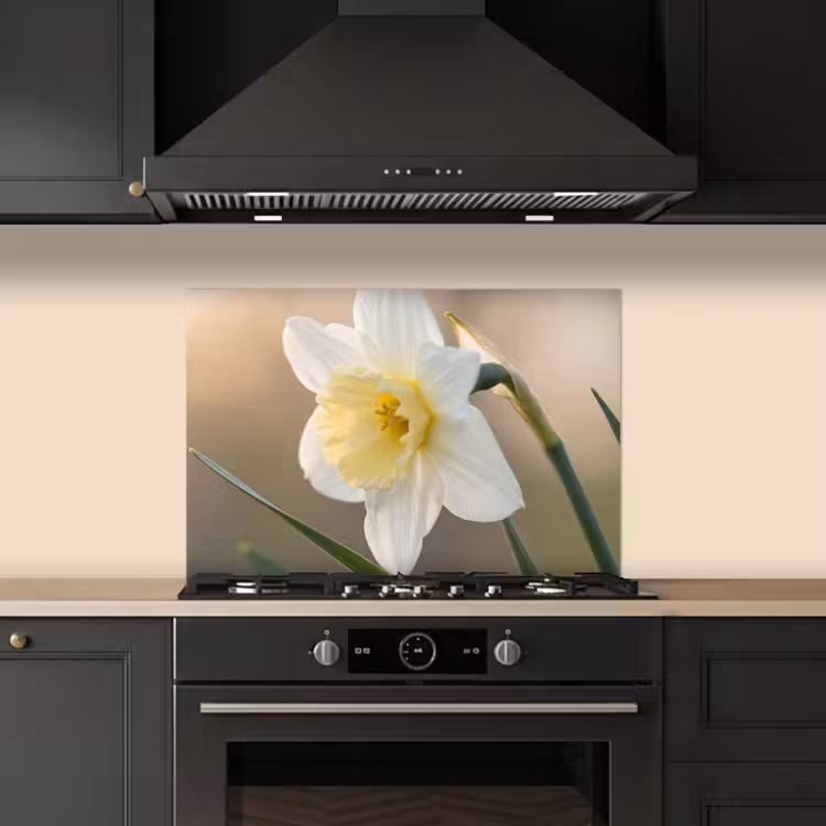 Spatscherm keuken - Narcis - Bloem - Minimalistisch — 2