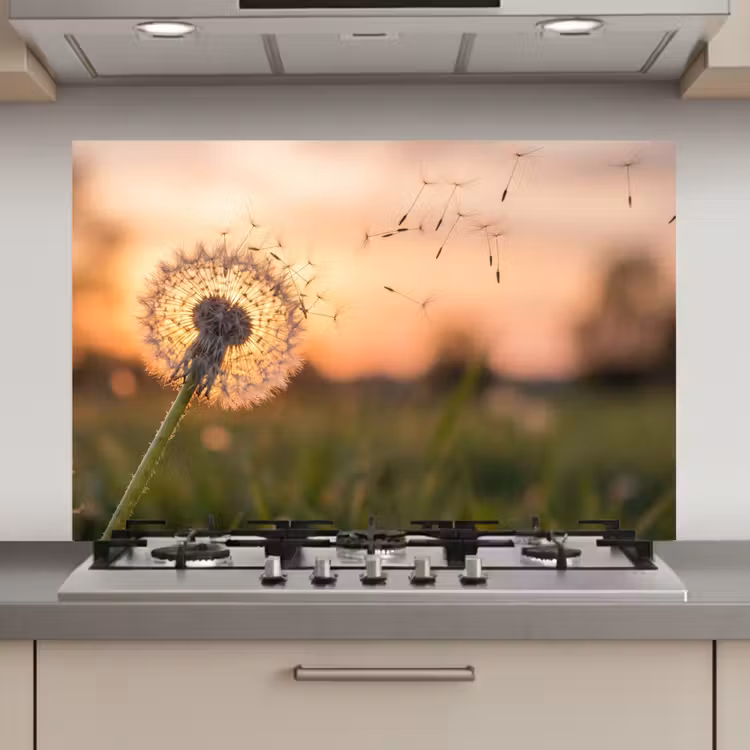 Spatscherm keuken - Paardenbloem - Zonsondergang - Veld — 1