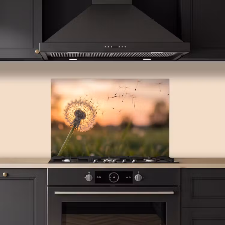 Spatscherm keuken - Paardenbloem - Zonsondergang - Veld — 2