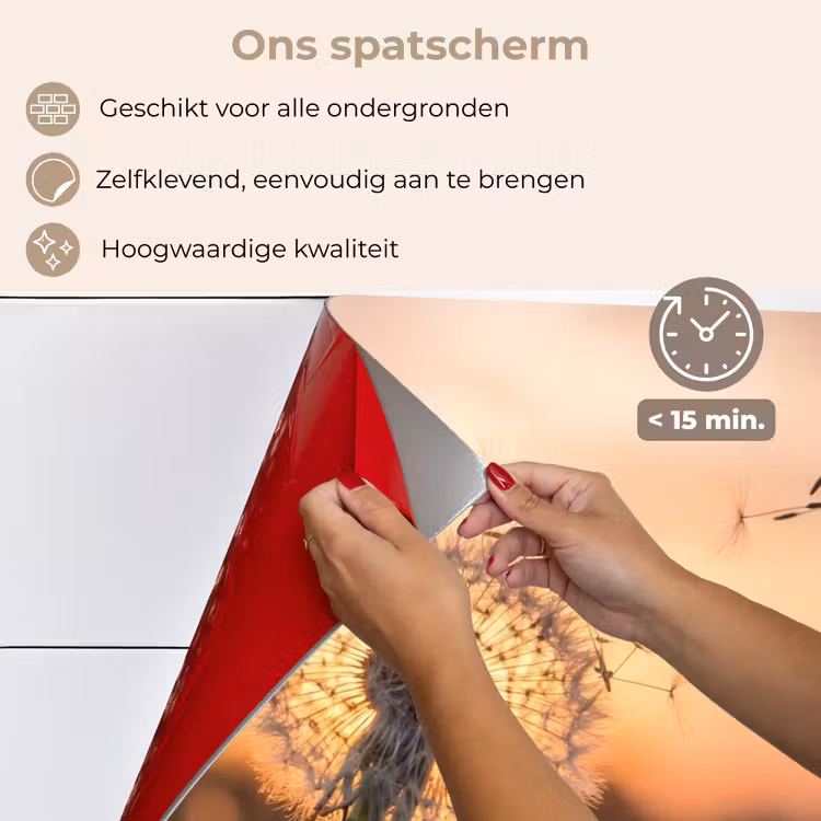 Spatscherm keuken - Paardenbloem - Zonsondergang - Veld — 4