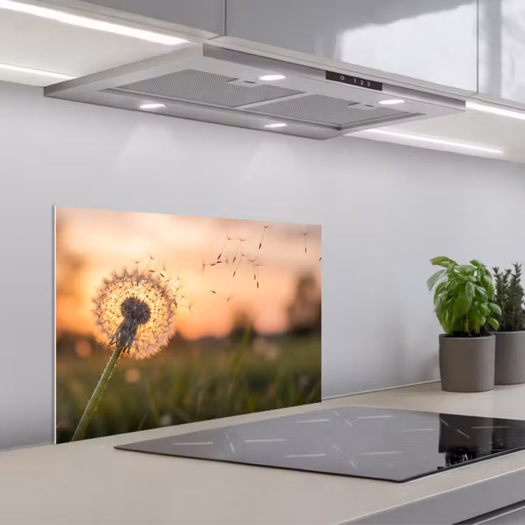 Spatscherm keuken - Paardenbloem - Zonsondergang - Veld — 5