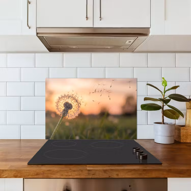 Spatscherm keuken - Paardenbloem - Zonsondergang - Veld — 6