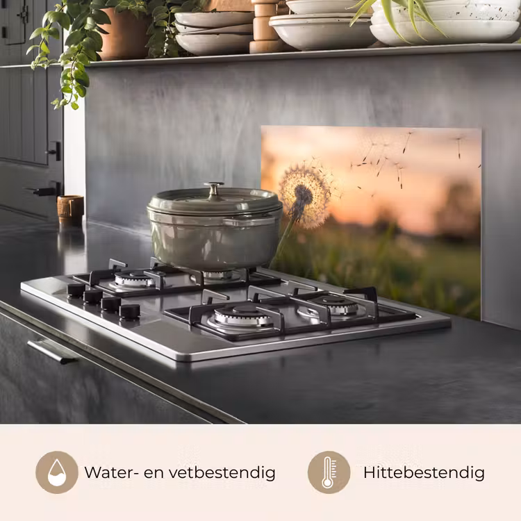 Spatscherm keuken - Paardenbloem - Zonsondergang - Veld — 7