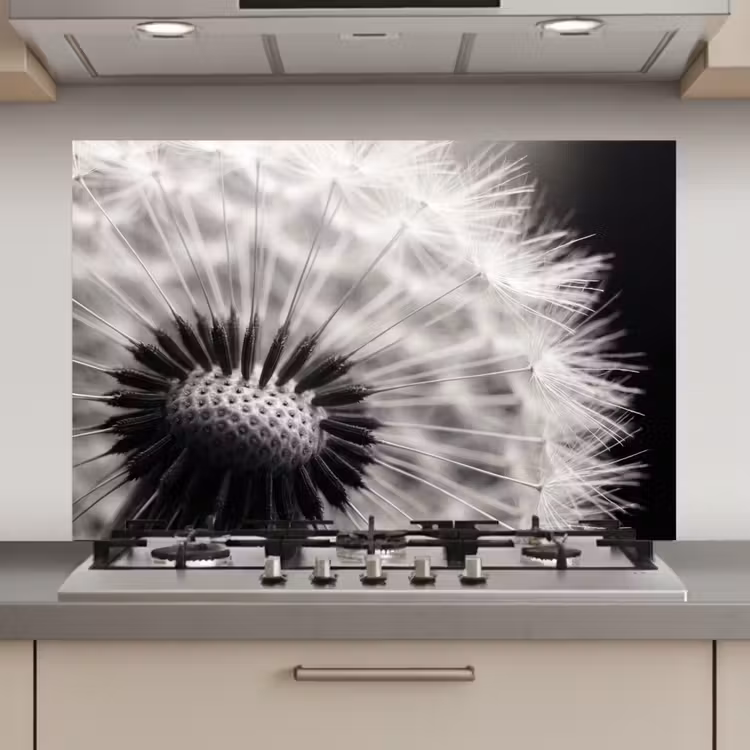 Spatscherm keuken - Paardenbloem - Zwart - Wit — 1