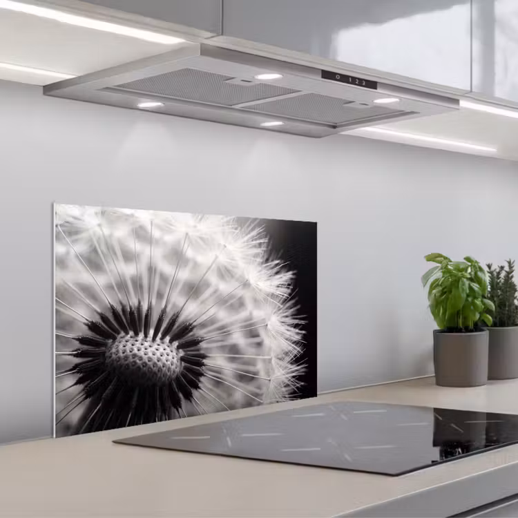 Spatscherm keuken - Paardenbloem - Zwart - Wit — 5