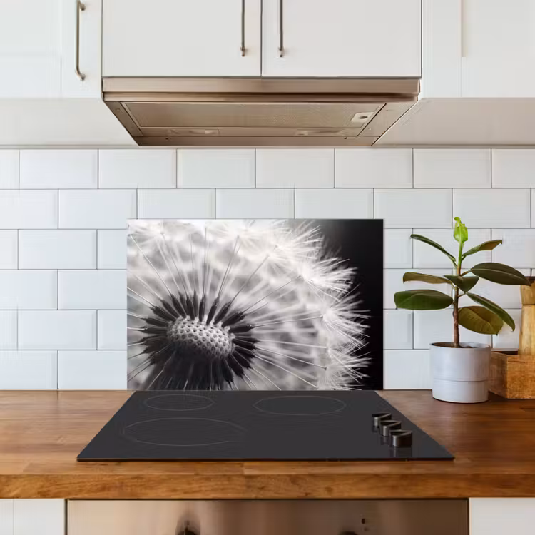Spatscherm keuken - Paardenbloem - Zwart - Wit — 6