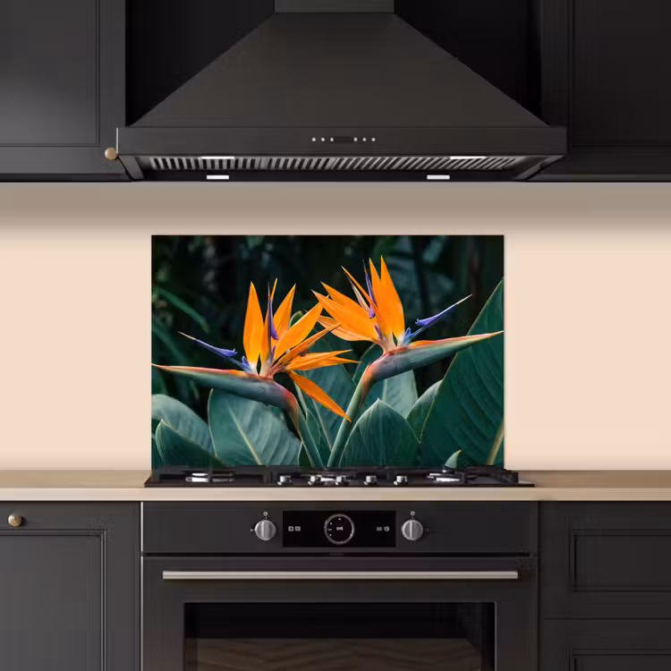 Spatscherm keuken - Paradijsvogel - Bloem - Exotisch — 2