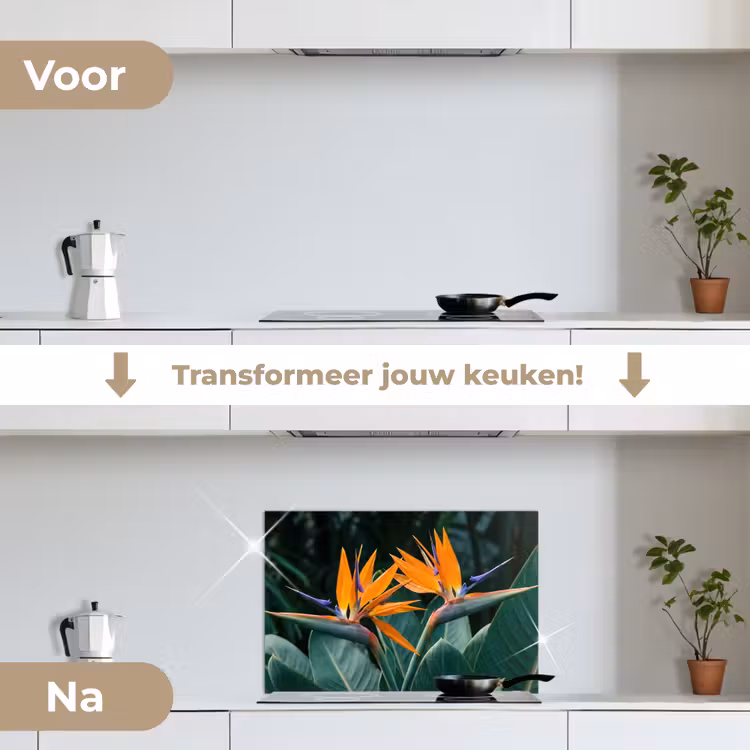 Spatscherm keuken - Paradijsvogel - Bloem - Exotisch — 3