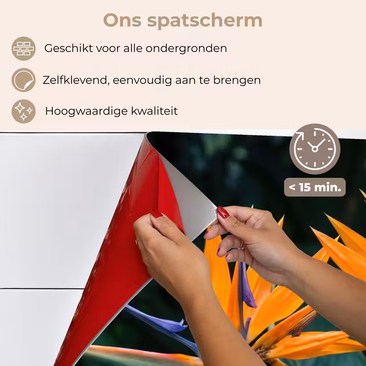 Spatscherm keuken - Paradijsvogel - Bloem - Exotisch — 4