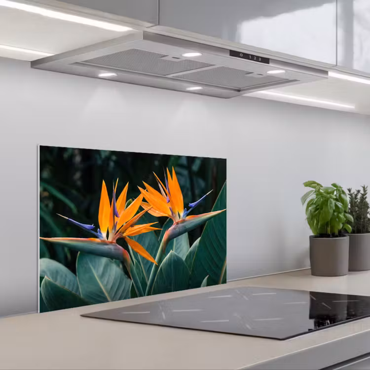 Spatscherm keuken - Paradijsvogel - Bloem - Exotisch — 5