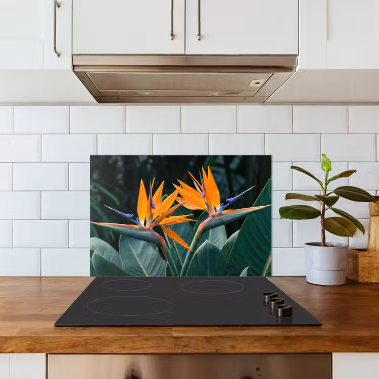 Spatscherm keuken - Paradijsvogel - Bloem - Exotisch — 6