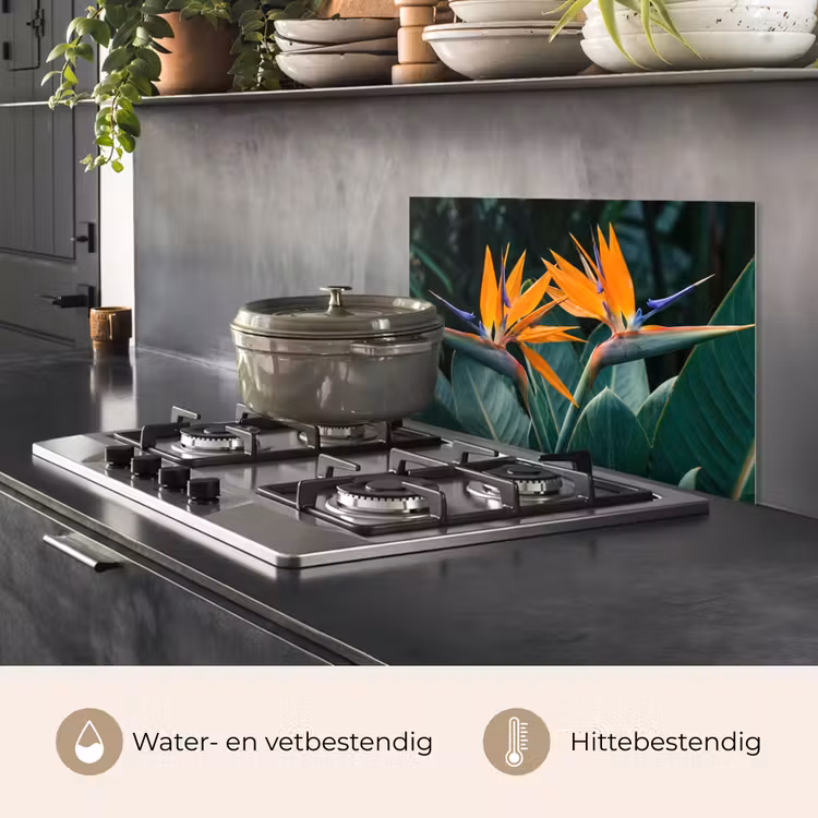 Spatscherm keuken - Paradijsvogel - Bloem - Exotisch — 7