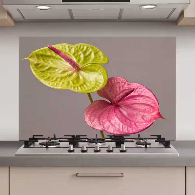 Spatscherm keuken - Planten - Anthurium - Groen - Roze — 1