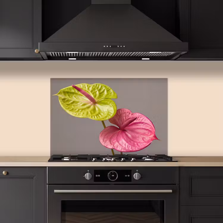 Spatscherm keuken - Planten - Anthurium - Groen - Roze — 2