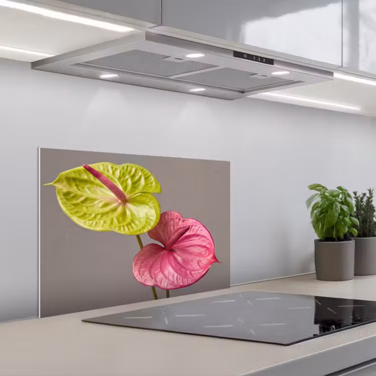 Spatscherm keuken - Planten - Anthurium - Groen - Roze — 5