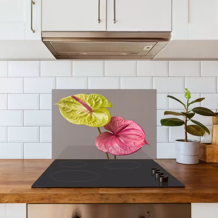 Spatscherm keuken - Planten - Anthurium - Groen - Roze — 6