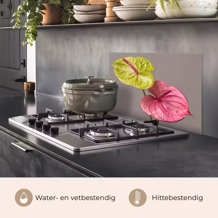 Spatscherm keuken - Planten - Anthurium - Groen - Roze — 7