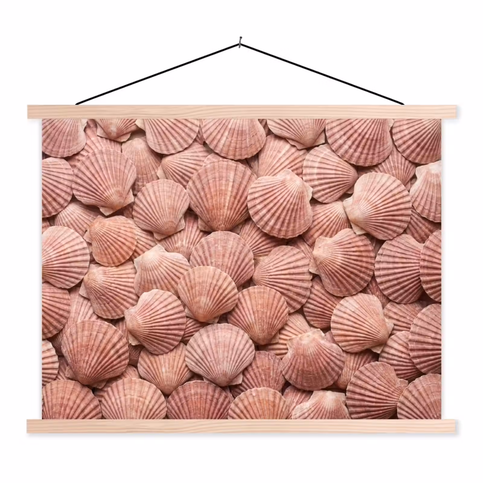 Schoolplaat - Schelpen - Patroon - Roze — 1