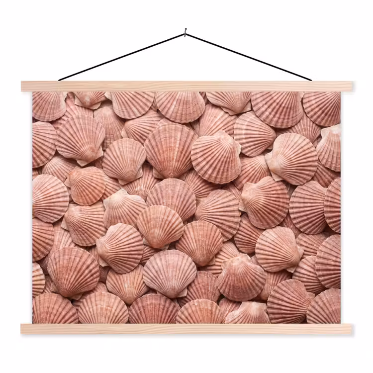 Schoolplaat - Schelpen - Patroon - Roze — 1