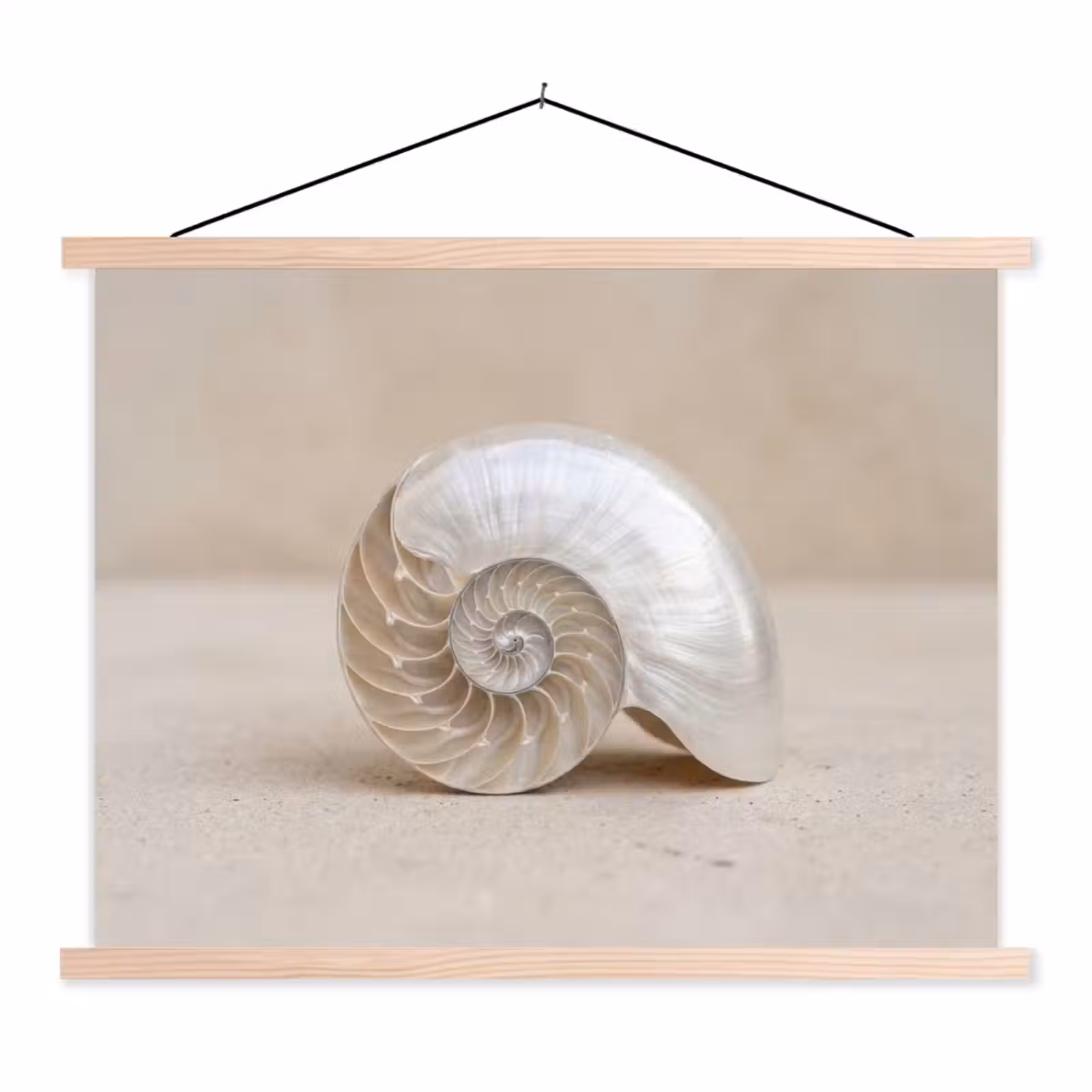 Schoolplaat - Schelp - Spiraal - Beige — 1
