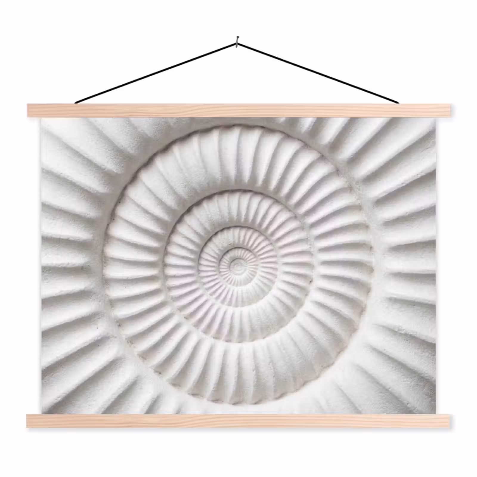Schoolplaat - Schelp - Spiraal - Wit — 1