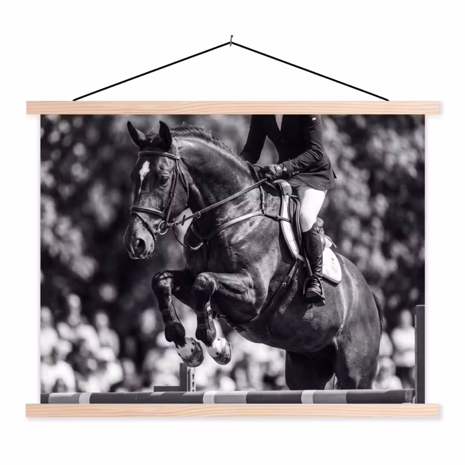 Schoolplaat - Springen - Paard - Zwart - Wit — 1