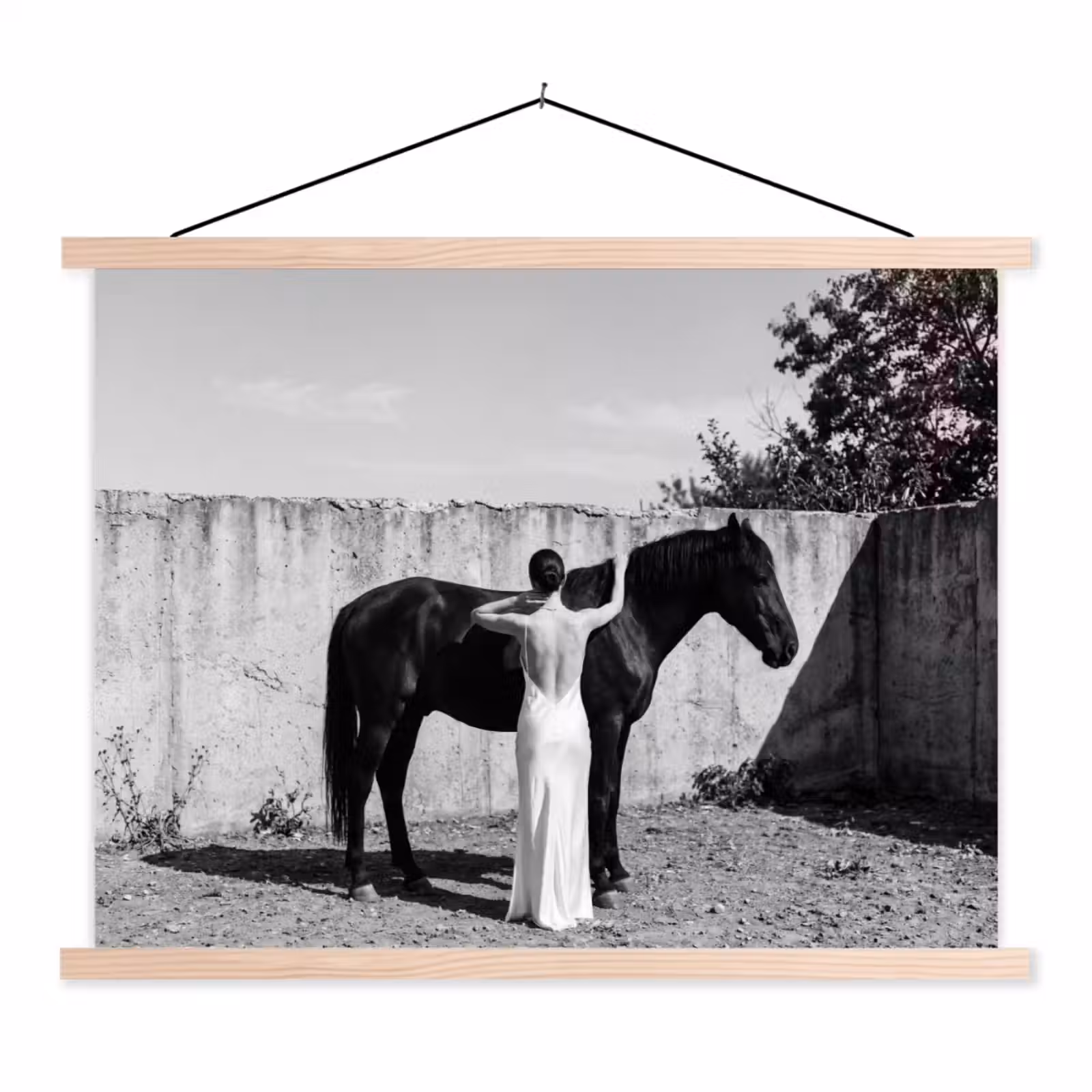 Schoolplaat - Vrouw - Paard - Artistiek — 1