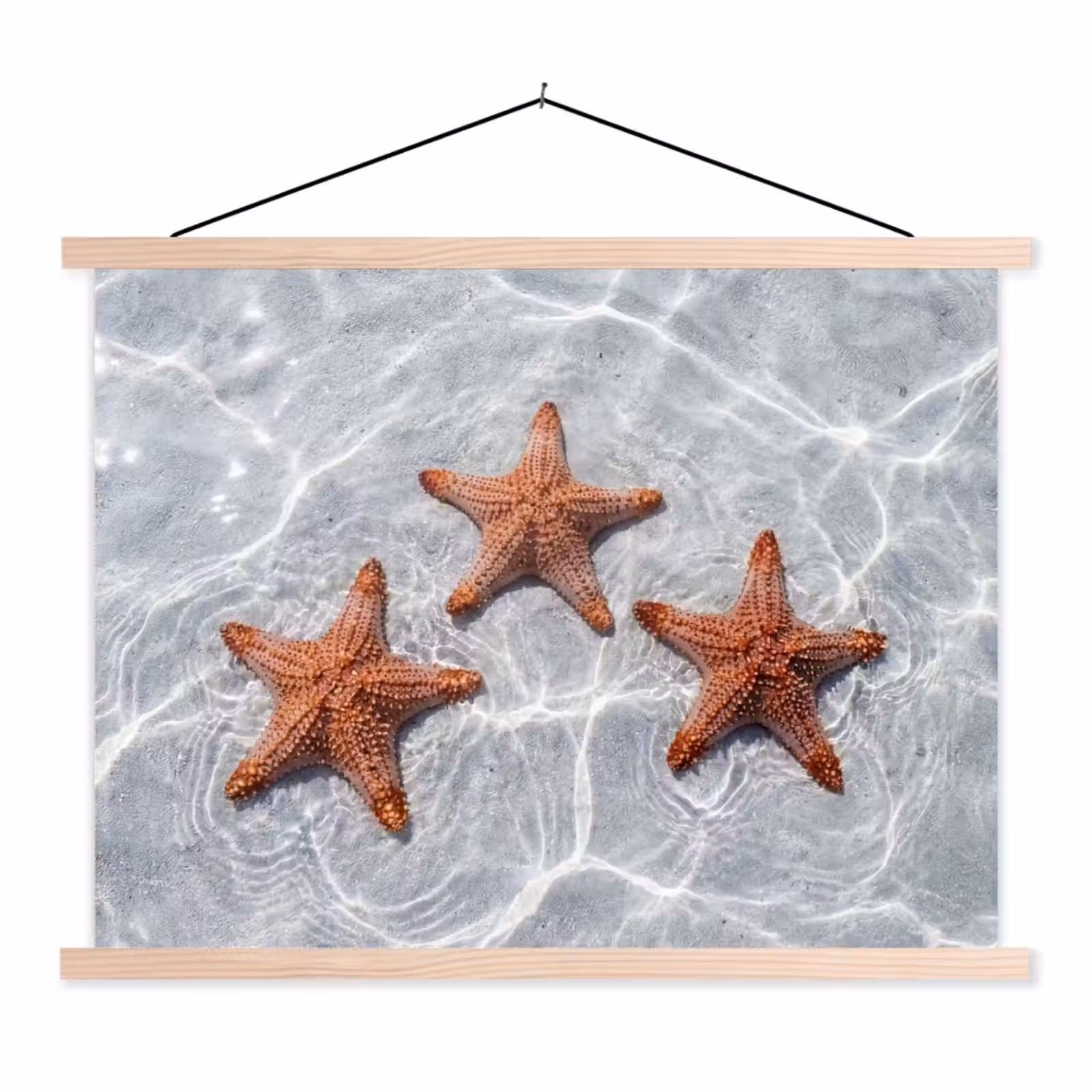 Schoolplaat - Zeesterren - Water - Helder — 1