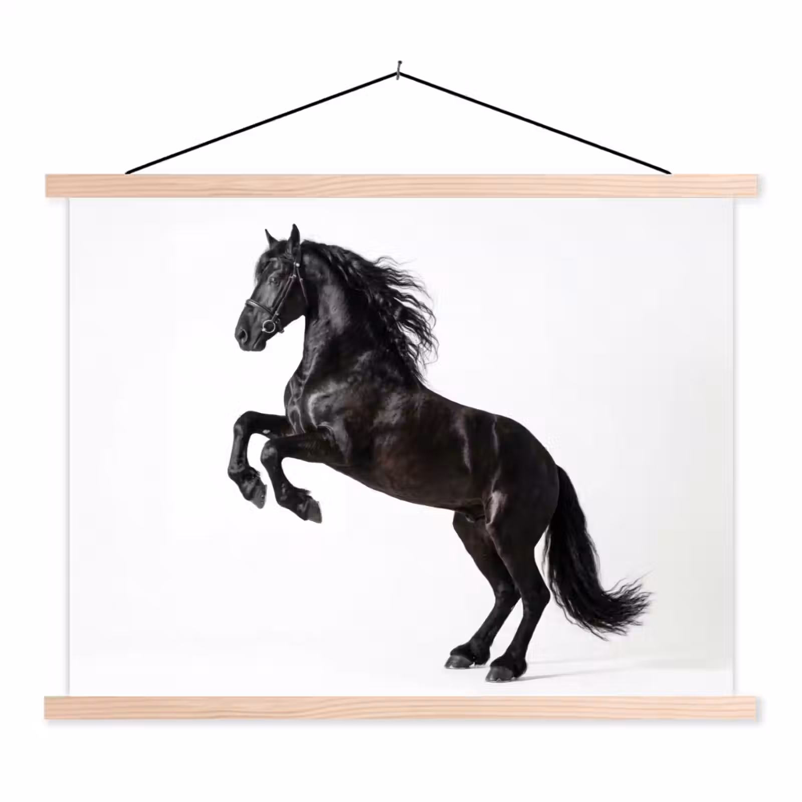 Schoolplaat - Zwart - Paard - Portret — 1