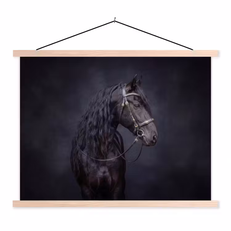 Schoolplaat - Portret - Paard - Donker — 1