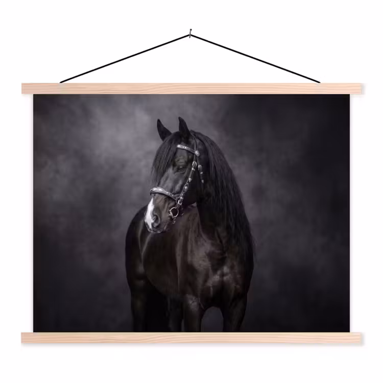 Schoolplaat - Portret - Paard - Zwart — 1